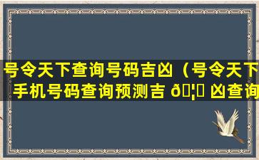 号令天下查询号码吉凶（号令天下手机号码查询预测吉 🦉 凶查询）